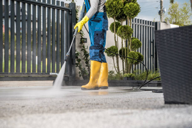 Boat and Dock Cleaning in Brices Creek, NC